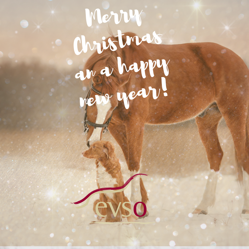 Merry christmas and a happy new year to all our members!