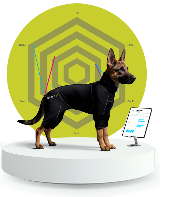 Webinar: "Pelvic Pathologies in Puppies – Growth-Related Insights" 