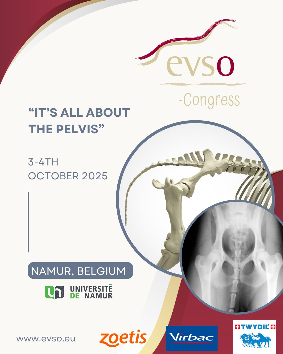EVSO Congress 2025 Namur-Belgium