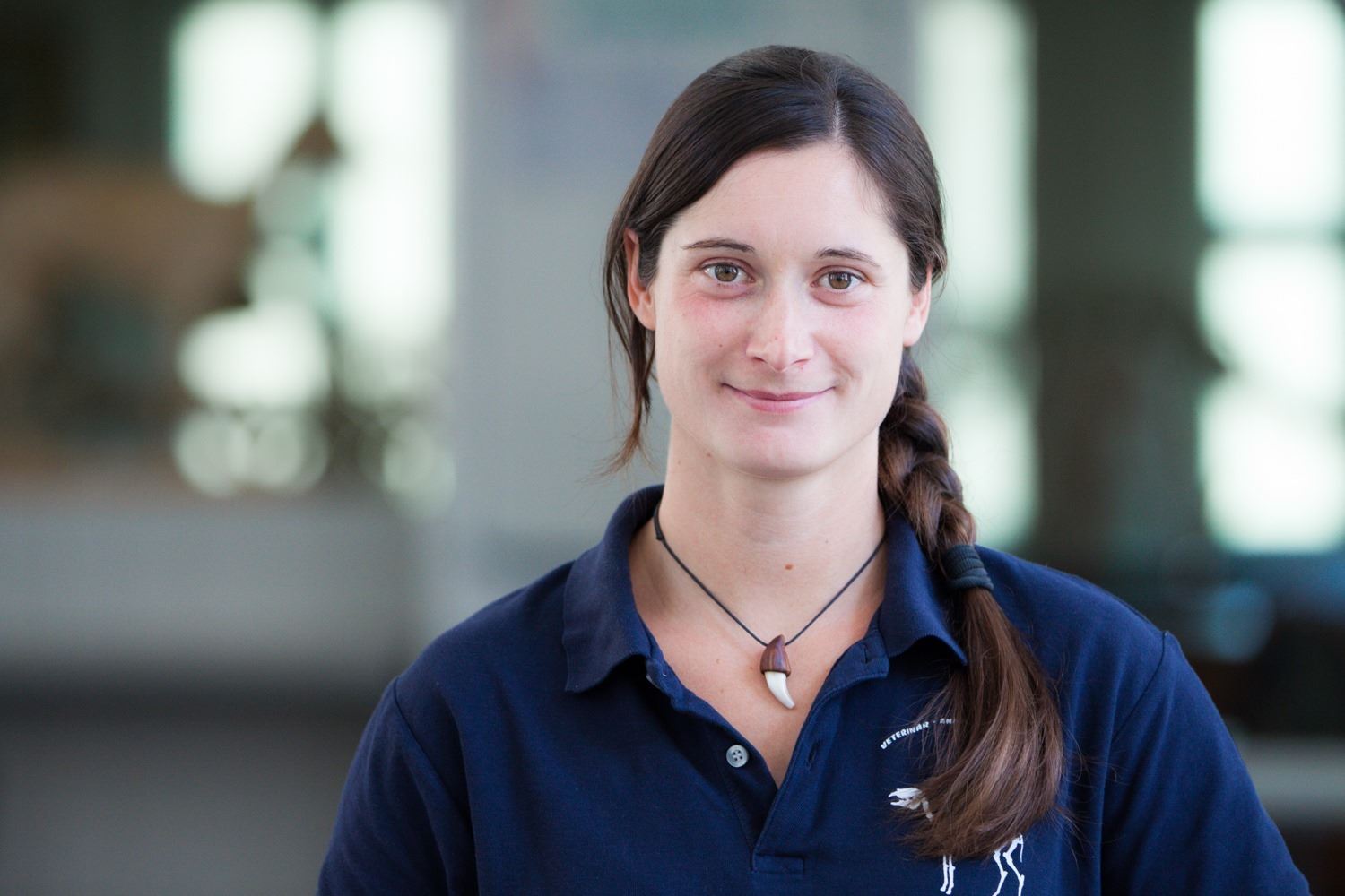 Webinar: The correlation between function of the proximal locomotor system and body posture with gait quality and hoof conformation