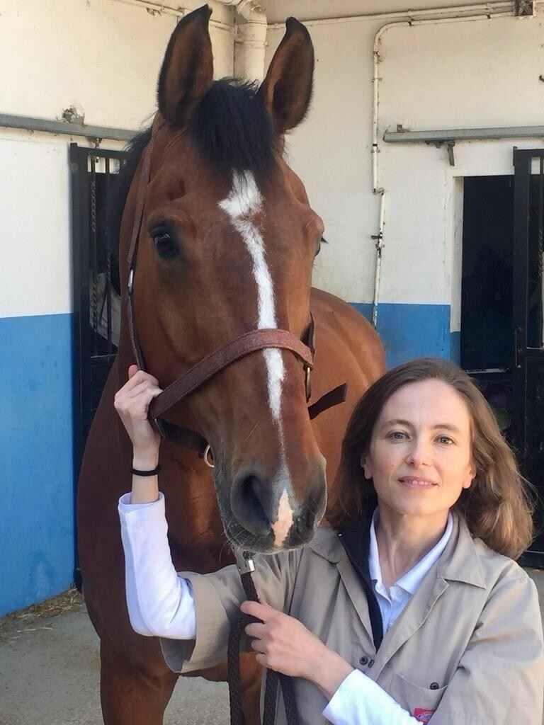 EVSO Webinar: The use of dry needling for the treatment of myofascial pain